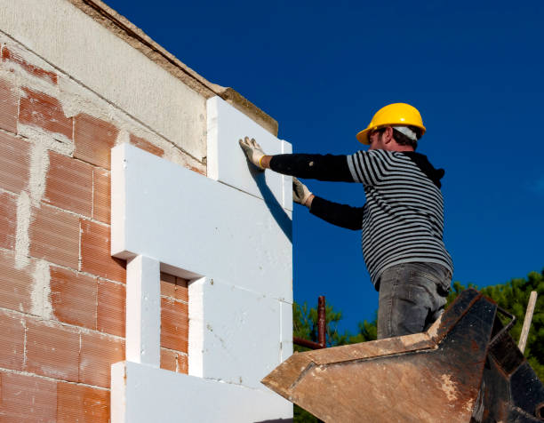 Best Insulation Repair Services  in Wolfforth, TX