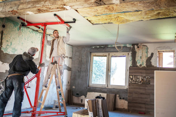 Best Attic Insulation Installation  in Wolfforth, TX
