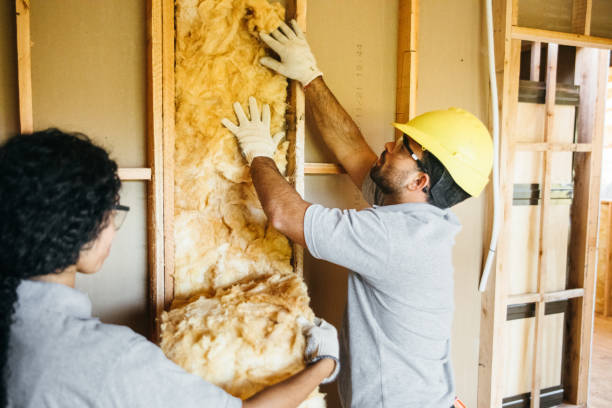 Best Insulation Removal  in Wolfforth, TX