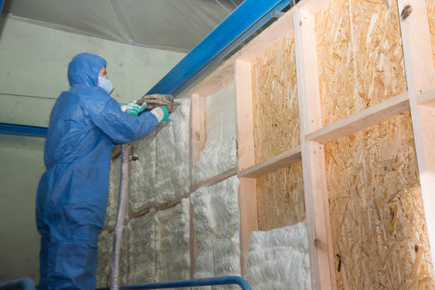 Best Affordable Insulation Services  in Wolfforth, TX