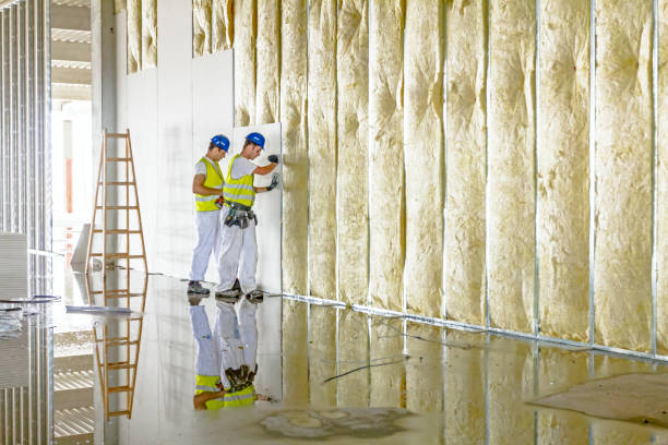 Best Insulation Contractors for Homes  in Wolfforth, TX